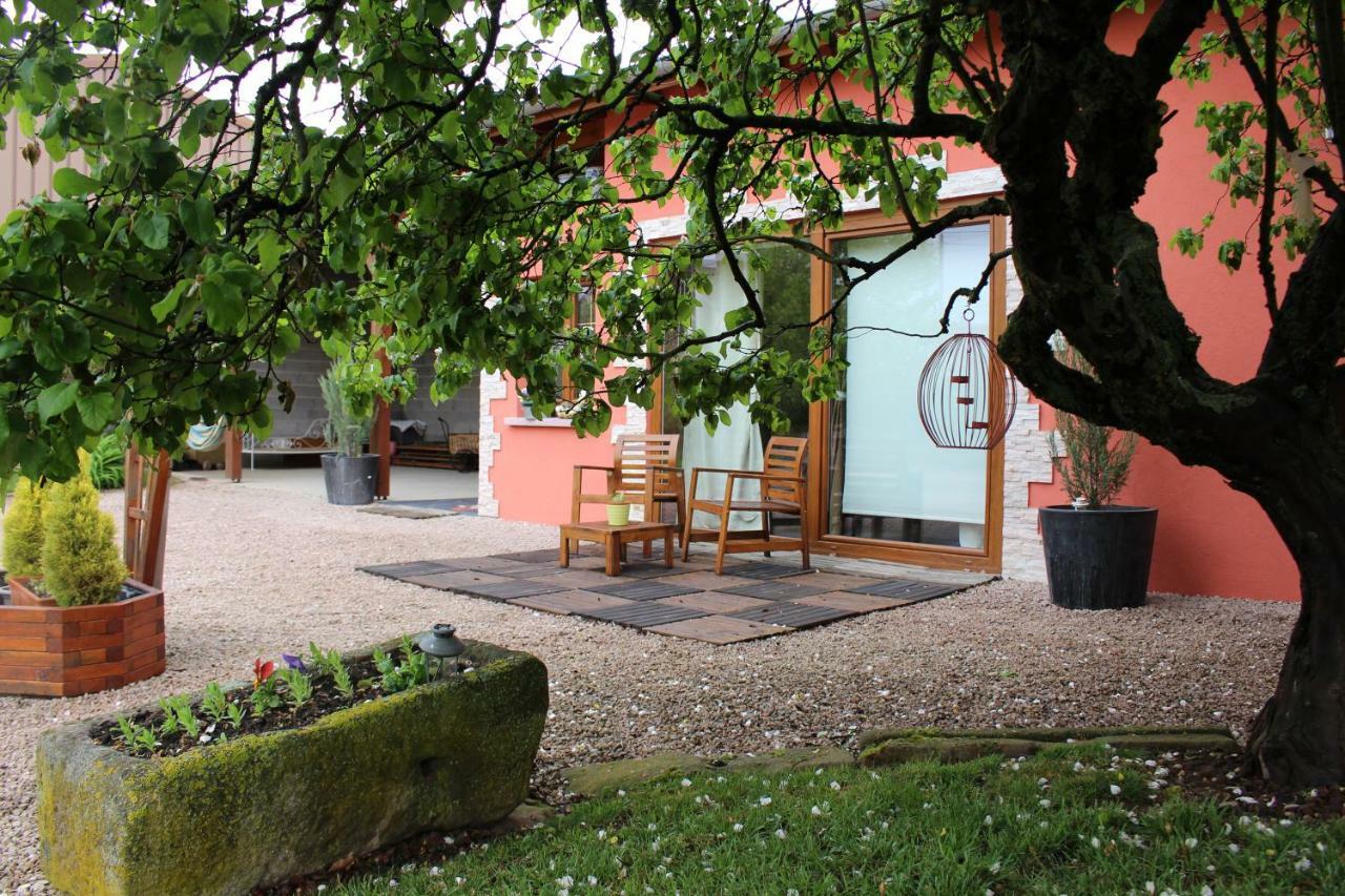 Gite Au Centre De L'Alsace Scherwiller Zewnętrze zdjęcie