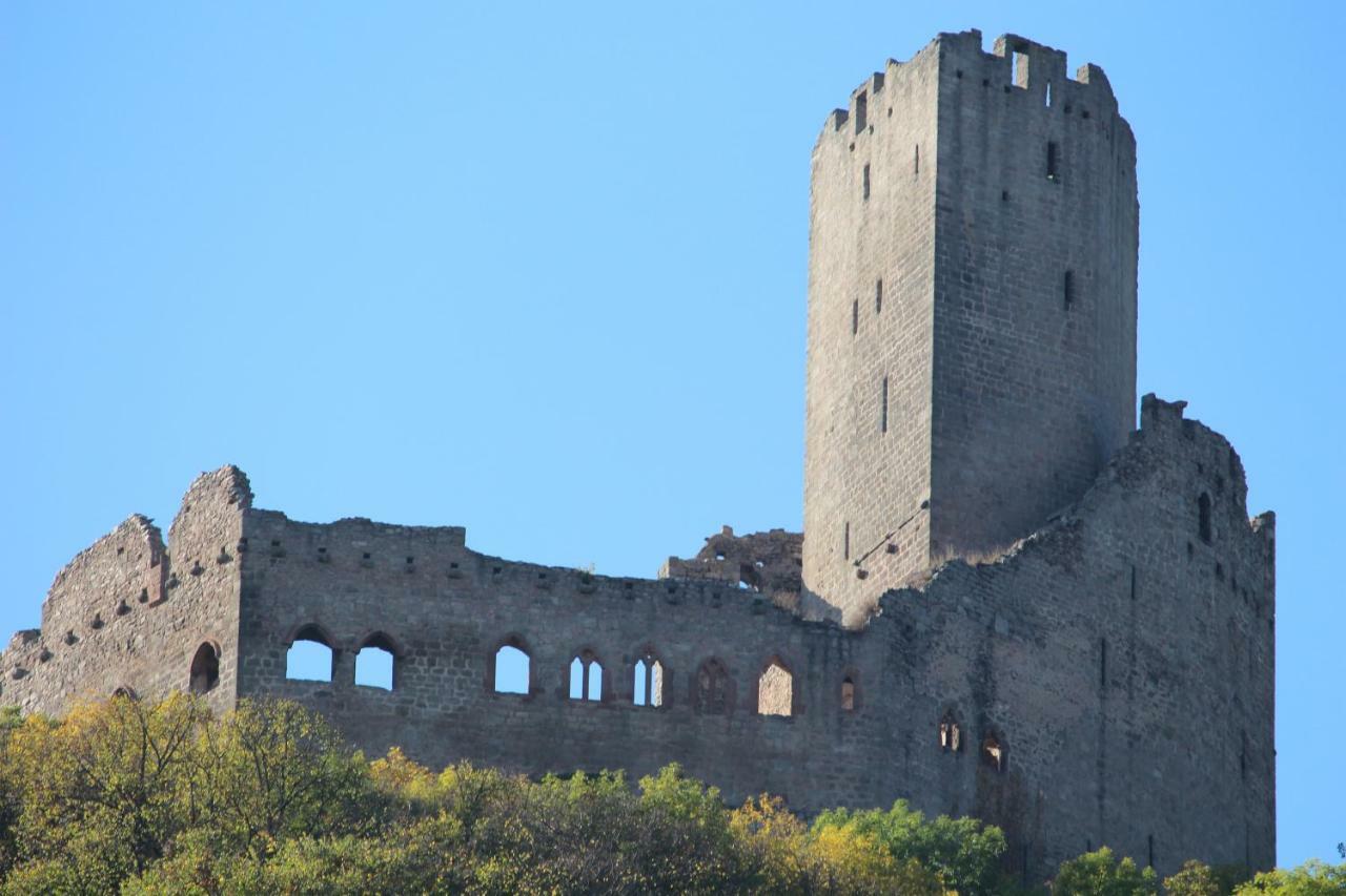 Gite Au Centre De L'Alsace Scherwiller Zewnętrze zdjęcie